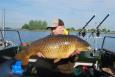 Schubkarper 33 pond 3 ons 14 mei 2017 Locatie Binnenmaas (Marcel Kloos)