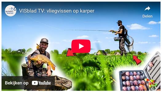 VISblad TV: vliegvissen op karper